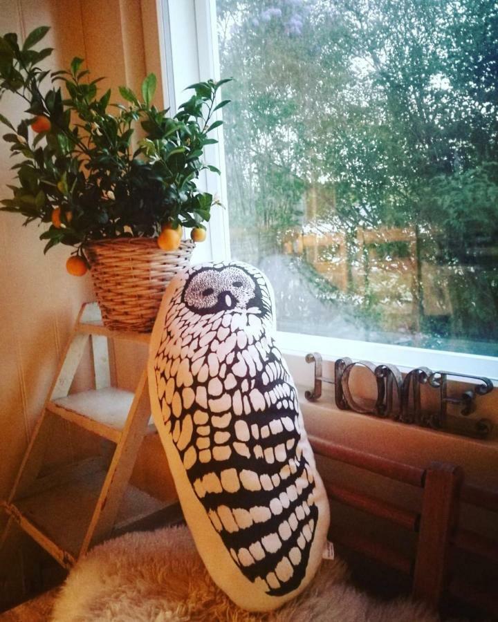 Willa Mustijoki Laukkoski Buitenkant foto
